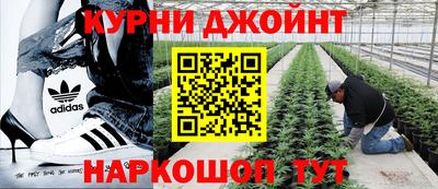 сатива Среднеуральск